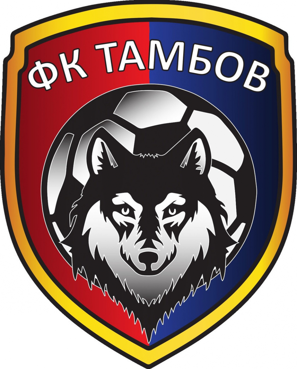 Футбольный клуб «Тамбов» представил новый логотип
