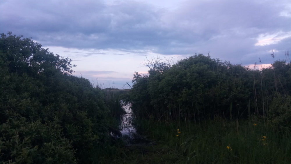 В Сосновском районе утонул 68-летний рыбак из Моршанска В Сосновском районе утонул 68-летний рыбак из Моршанска