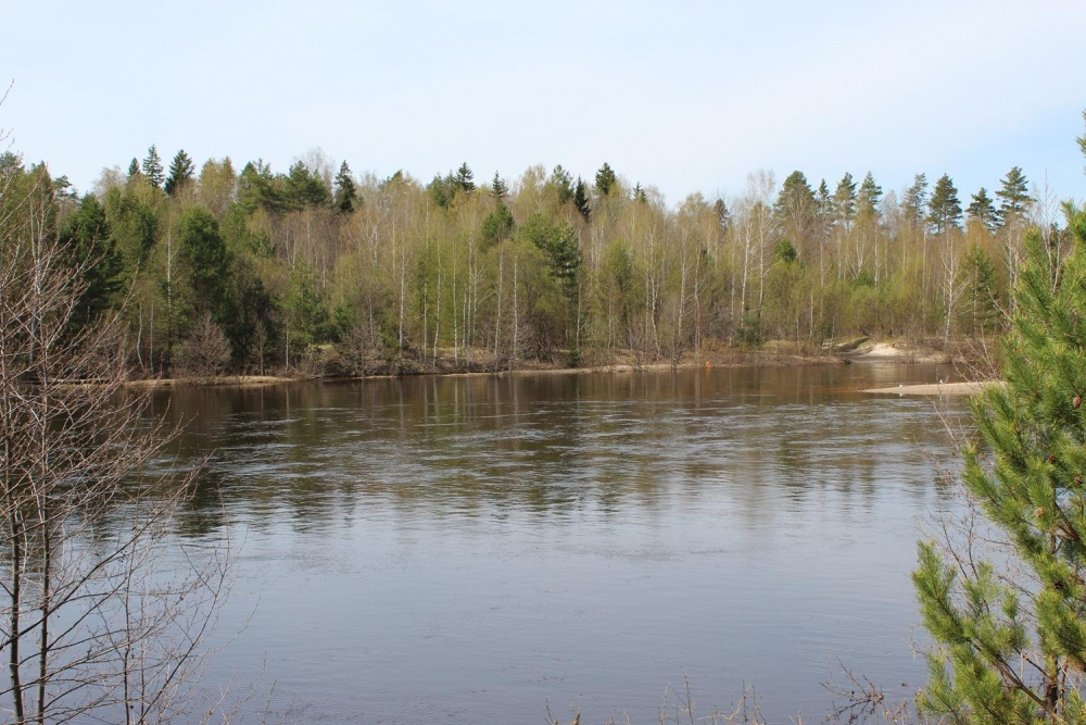 Уровень воды в реках региона пошёл на спад Уровень воды в реках региона пошёл на спад