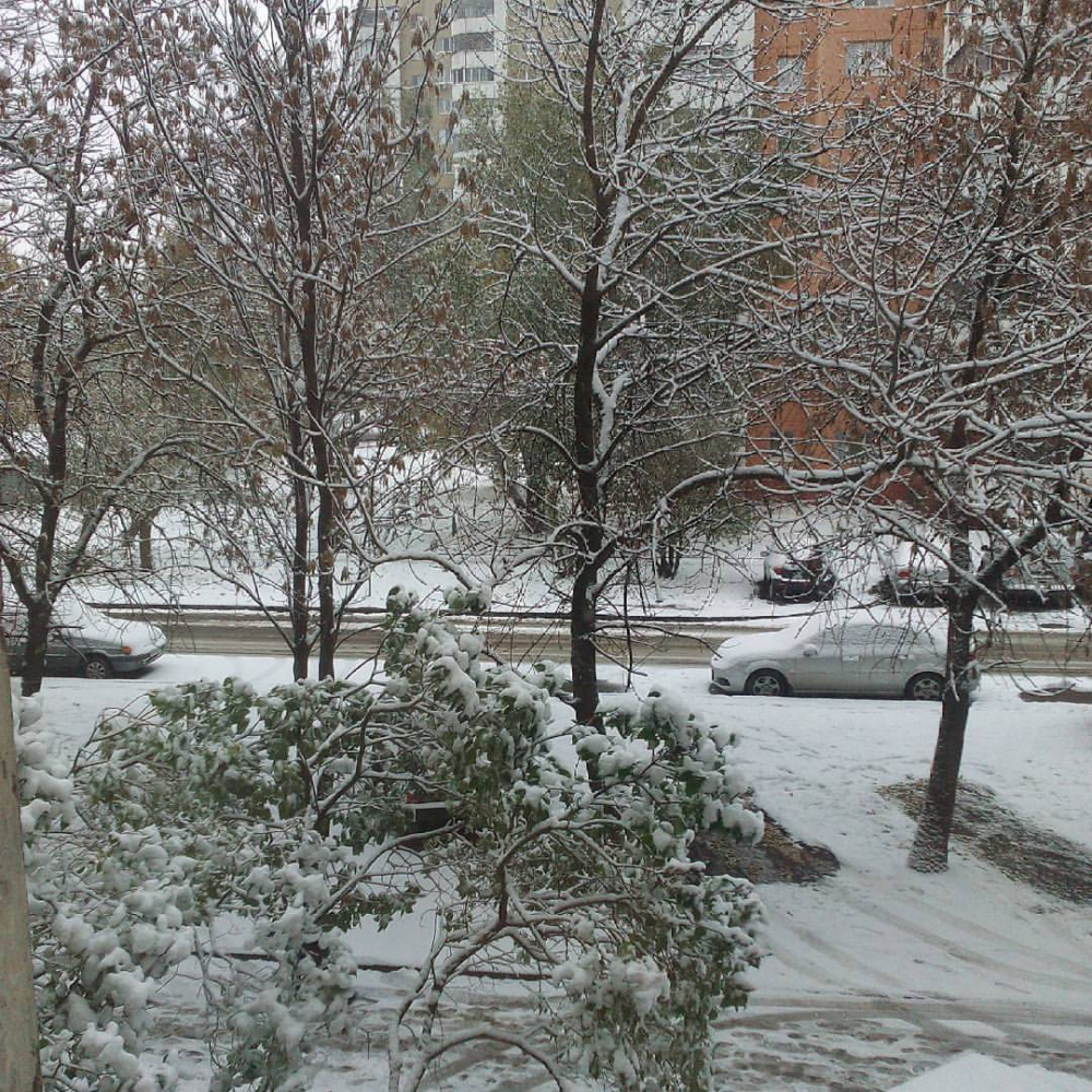 Сегодня тамбовчане могут узнать, какой будет июнь Сегодня тамбовчане могут узнать, какой будет июнь