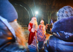 В Тамбове определили места торговли новогодними красавицами В Тамбове определили места торговли новогодними красавицами