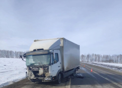 В Тамбовском районе случилось ДТП, в котором погибла женщина В Тамбовском районе случилось ДТП, в котором погибла женщина