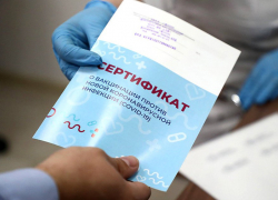 В регионе возбуждено 18 уголовных дел по фактам выдачи “липовых” сертификатов о вакцинации В регионе возбуждено 18 уголовных дел по фактам выдачи “липовых” сертификатов о вакцинации