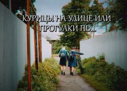 Тамбовский «Кавардак» устроил виртуальный театральный променад Тамбовский «Кавардак» устроил виртуальный театральный променад