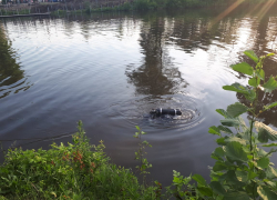 В пригороде Мичуринска утонул ребёнок В пригороде Мичуринска утонул ребёнок