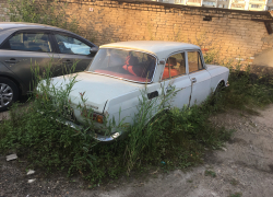 В Тамбове брошенные автомобили будут убирать с помощью эвакуаторов В Тамбове брошенные автомобили будут убирать с помощью эвакуаторов