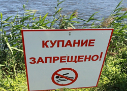 Восемь пляжей Тамбова закрыты для купания Восемь пляжей Тамбова закрыты для купания
