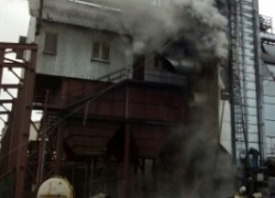 В Мичуринском районе 30 тонн семян подсолнечника погибло в огне В Мичуринском районе 30 тонн семян подсолнечника погибло в огне
