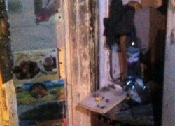 История с тамбовским собирателем мусора получила продолжение История с тамбовским собирателем мусора получила продолжение