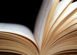 Праздничные повести для тамбовчан: новогодние книжные советы от «Блокнот Тамбов» Праздничные повести для тамбовчан: новогодние книжные советы от «Блокнот Тамбов»