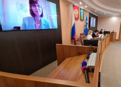 Городская дума Тамбова седьмого созыва сможет проводить заседания по видеосвязи Городская дума Тамбова седьмого созыва сможет проводить заседания по видеосвязи
