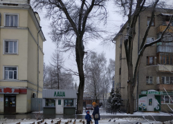 Дикие утки вернулись в город - к зиме? Дикие утки вернулись в город - к зиме?