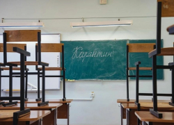 В школах, ВУЗах и техникумах региона объявлен карантин В школах, ВУЗах и техникумах региона объявлен карантин