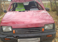В Жердевском районе «Ока» врезалась в лося В Жердевском районе «Ока» врезалась в лося