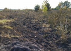 В Петровском районе мать и сын погибли, сжигая траву около дома В Петровском районе мать и сын погибли, сжигая траву около дома