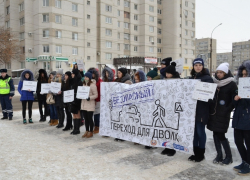 Студенческий десант высадился на одном из пешеходных переходов Тамбова Студенческий десант высадился на одном из пешеходных переходов Тамбова