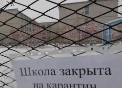 Три школы Мичуринска закрыли на карантин Три школы Мичуринска закрыли на карантин