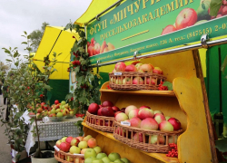 В Мичуринске пройдёт трёхдневная ярмарка ко Дню садовода В Мичуринске пройдёт трёхдневная ярмарка ко Дню садовода