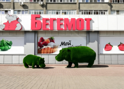Владелец сети магазинов «Бегемот» Дмитрий Толстых: «Мы стремимся каждый день повышать качество продукции и обслуживания» Владелец сети магазинов «Бегемот» Дмитрий Толстых: «Мы стремимся каждый день повышать качество продукции и обслуживания»