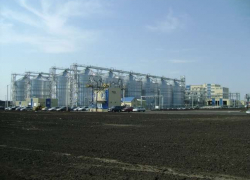 В Рассказовском районе открыт комбикормовый завод объемом переработки 12 тонн зерна в час В Рассказовском районе открыт комбикормовый завод объемом переработки 12 тонн зерна в час