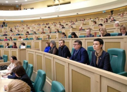 Тамбовские театралы в Совете Федерации обсудили проблемы детских театров Тамбовские театралы в Совете Федерации обсудили проблемы детских театров