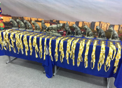 Двое тамбовчан побили рекорд на соревнованиях по пауэрлифтингу Двое тамбовчан побили рекорд на соревнованиях по пауэрлифтингу
