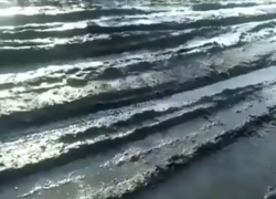 В непролазную грязь превратился асфальт, уложенный меньше года назад в Никифоровском районе В непролазную грязь превратился асфальт, уложенный меньше года назад в Никифоровском районе