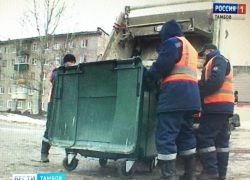 Предписание - есть, а проблем нет или как АО "ТСК" справляется с вывозом мусора Предписание - есть, а проблем нет или как АО "ТСК" справляется с вывозом мусора