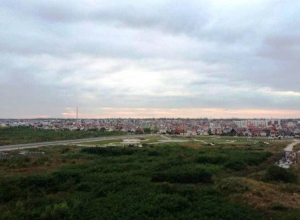 В Тамбове официально открыта префектура «Олимпийский парк» В Тамбове официально открыта префектура «Олимпийский парк»