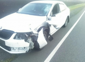 Пешеход погиб под колесами ŠKODA Octavia в Мордовском районе Пешеход погиб под колесами ŠKODA Octavia в Мордовском районе