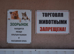 Контроль за торговлей животными в Тамбове ужесточат Контроль за торговлей животными в Тамбове ужесточат