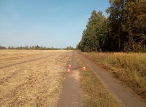 Труп мужчины обнаружен на проселочной дороге в Первомайском районе Труп мужчины обнаружен на проселочной дороге в Первомайском районе