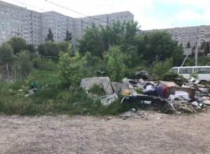 Бой стихийным свалкам - пожарная безопасность региона Бой стихийным свалкам - пожарная безопасность региона