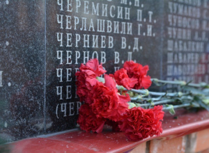 На Тамбовском некрополе почтили память воинов На Тамбовском некрополе почтили память воинов
