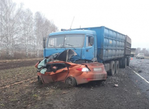 Таинственная связь: еще одна авария с внезапным выездом на встречку произошла под Тамбовом Таинственная связь: еще одна авария с внезапным выездом на встречку произошла под Тамбовом