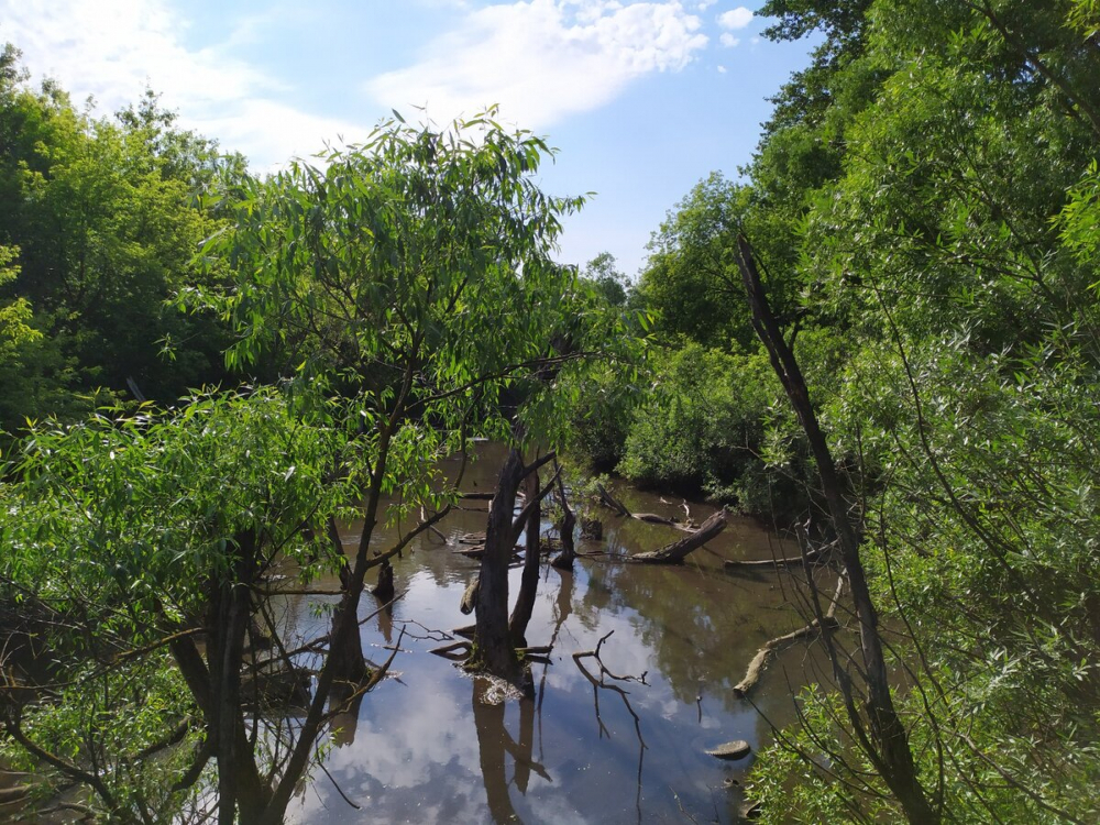Тамбовские реки продолжат расчищать от мусора в 2022 году