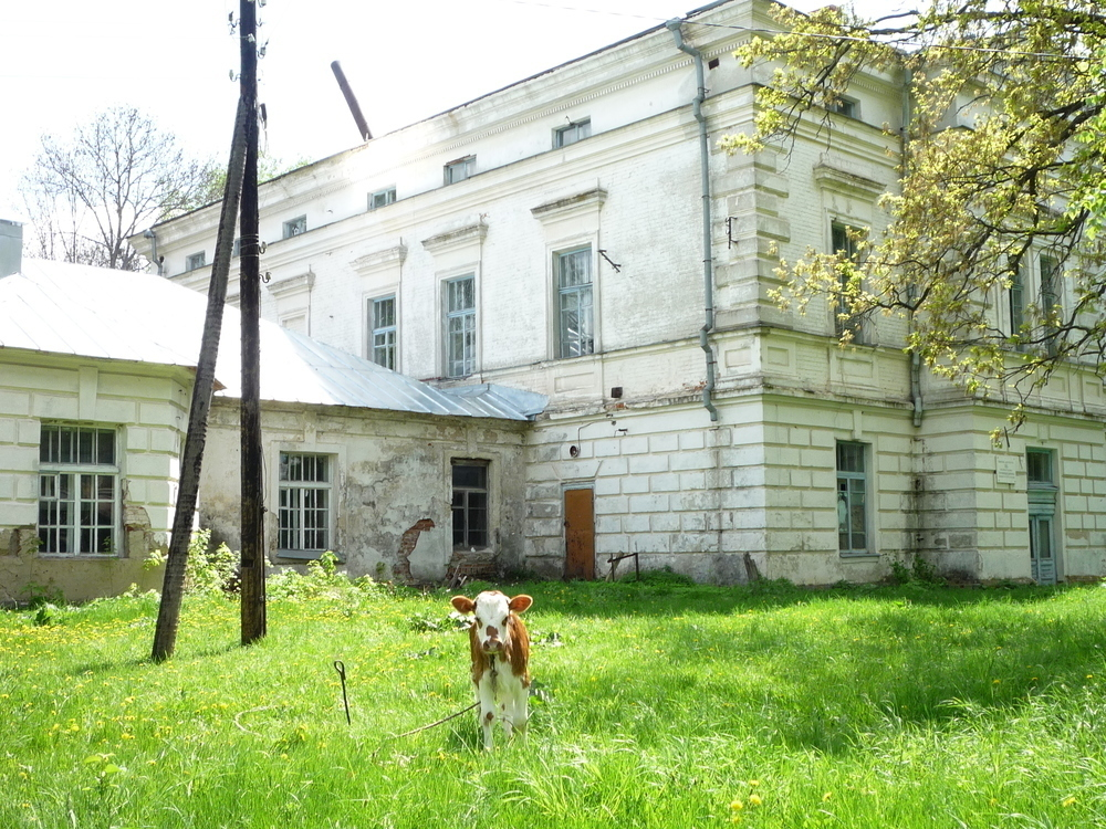 Тамбовская область заняла лидирующие позиции в рейтинге по сохранению культурного наследия
