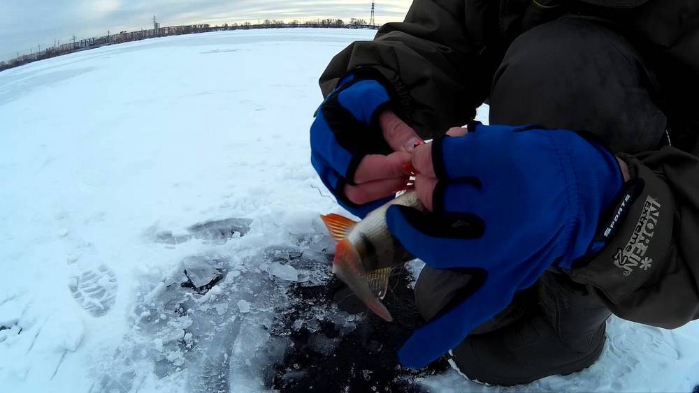 Рыбаков пригласили на Открытый Чемпионат Тамбовской области по ловле на блесну со льда