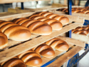 Бывшее руководство «Мичуринского хлебозавода» могут привлечь к ответственности по долгам предприятия