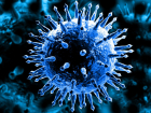 В регионе снова побит антирекорд по количеству заболевших коронавирусом