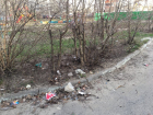 Власти Тамбова планируют потратить на уборку дворов в четыре раза меньше необходимого
