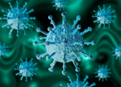 За неделю от последствий, вызванных коронавирусом, в регионе скончалось 62 человека