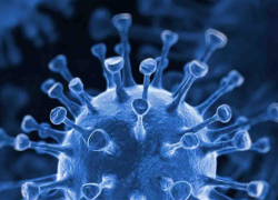 За неделю от коронавируса умерло 32 тамбовчанина