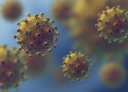 Количество заболевших коронавирусной инфекцией в области за сутки достигло сотни
