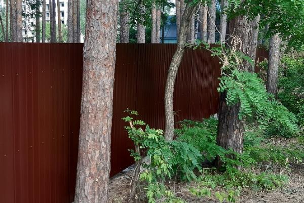 Власти Тамбова не смогли оспорить разрешение на строительство многоэтажки в Пригородном лесу